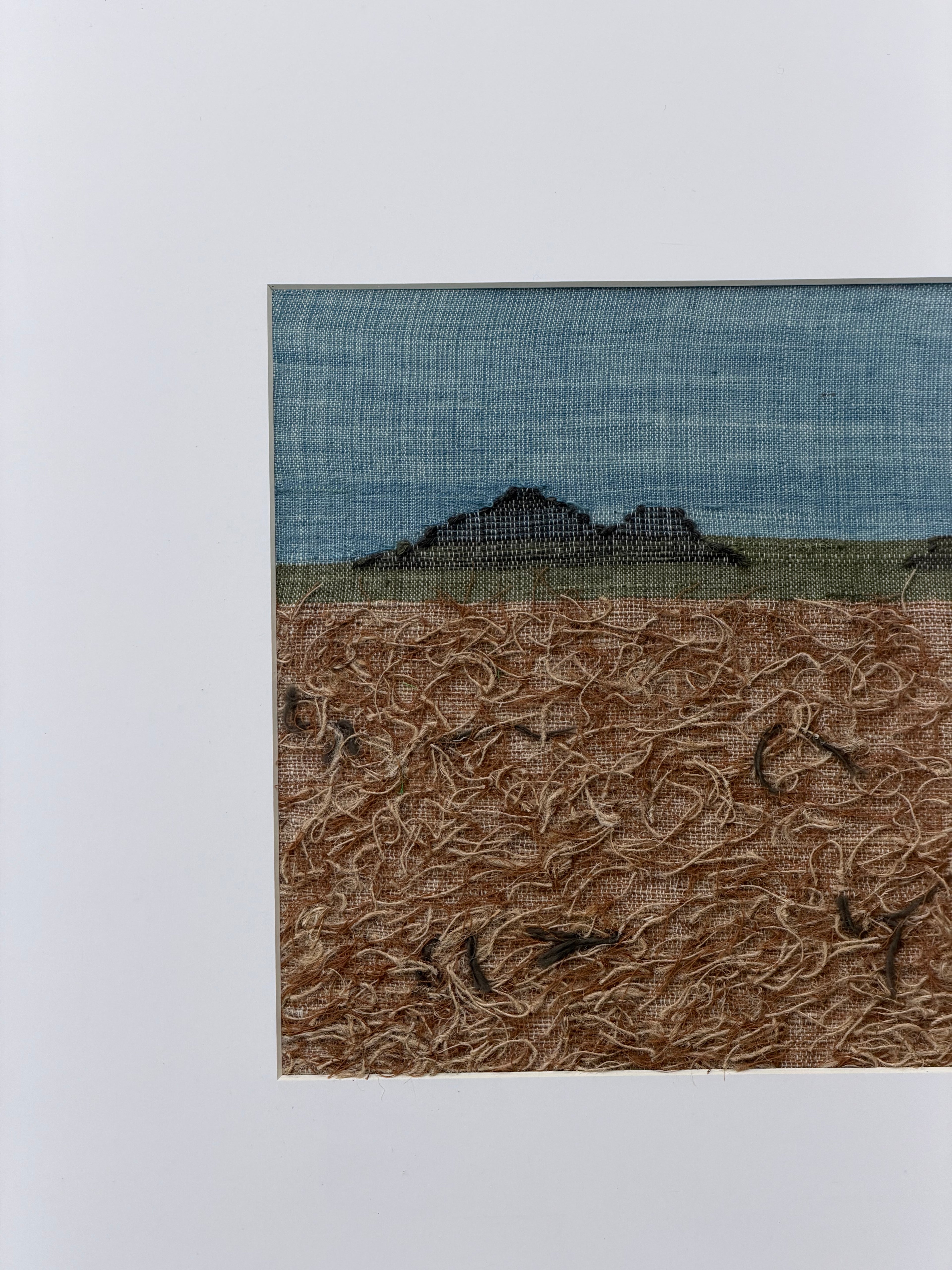 Woven Landscapes: Banni 2