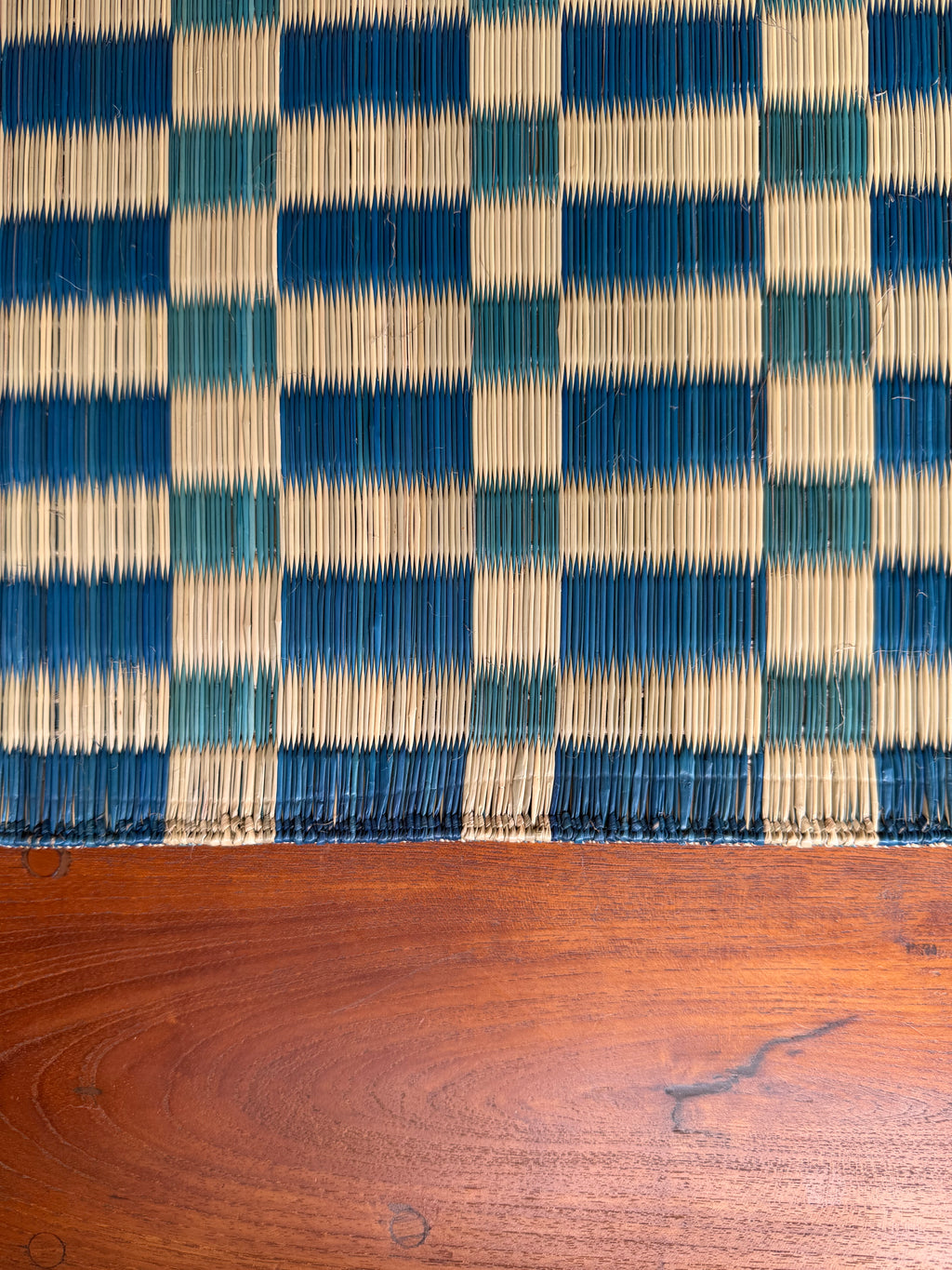 Checked Floor Mat: Aqua / Indigo
