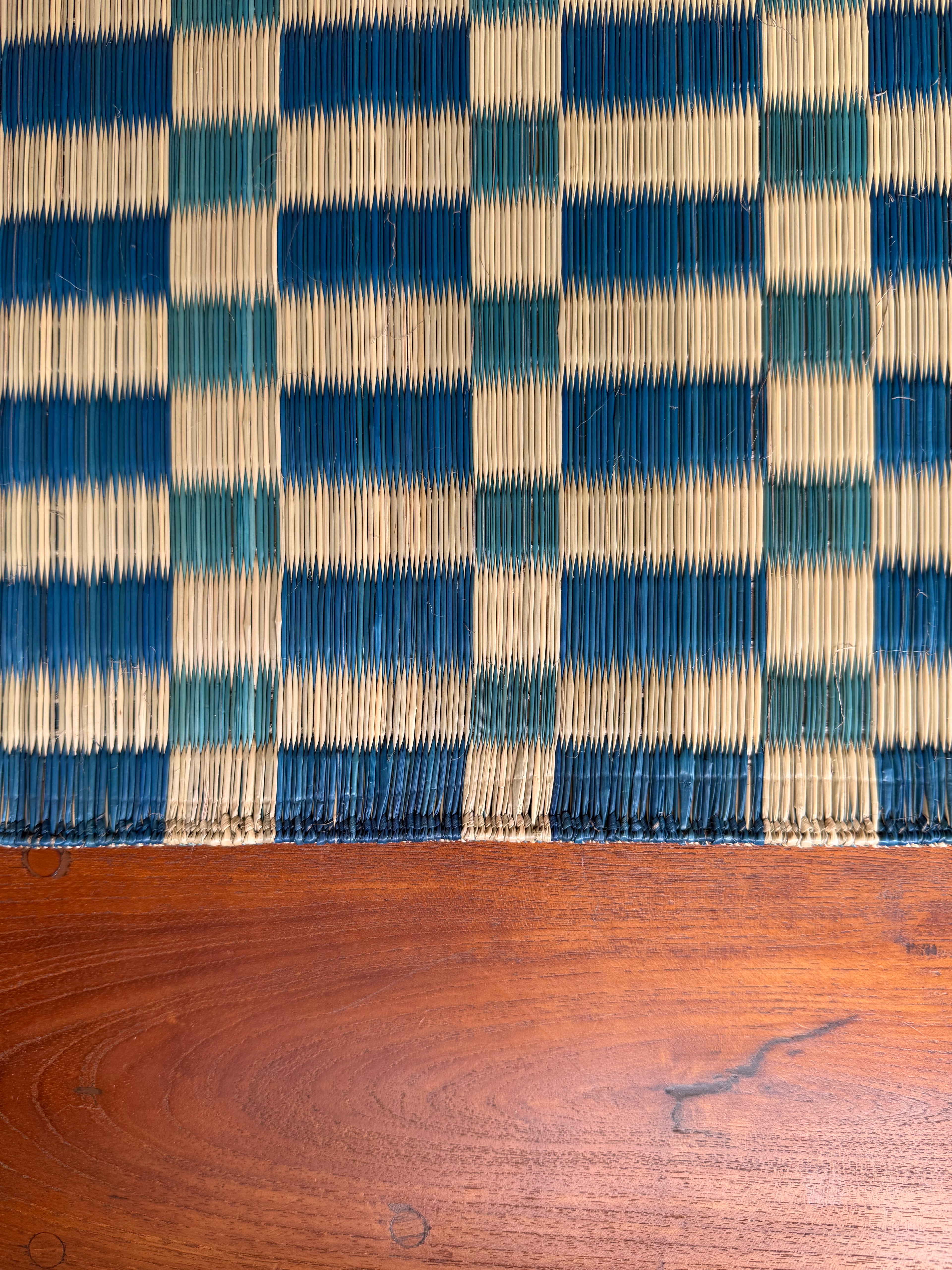 Checked Floor Mat: Aqua / Indigo