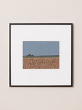 Woven Landscapes: Banni 2