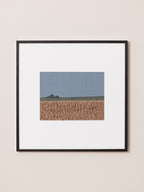 Woven Landscapes: Banni 2