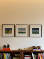Woven Landscapes: Banni Monsoon (Set of 3)