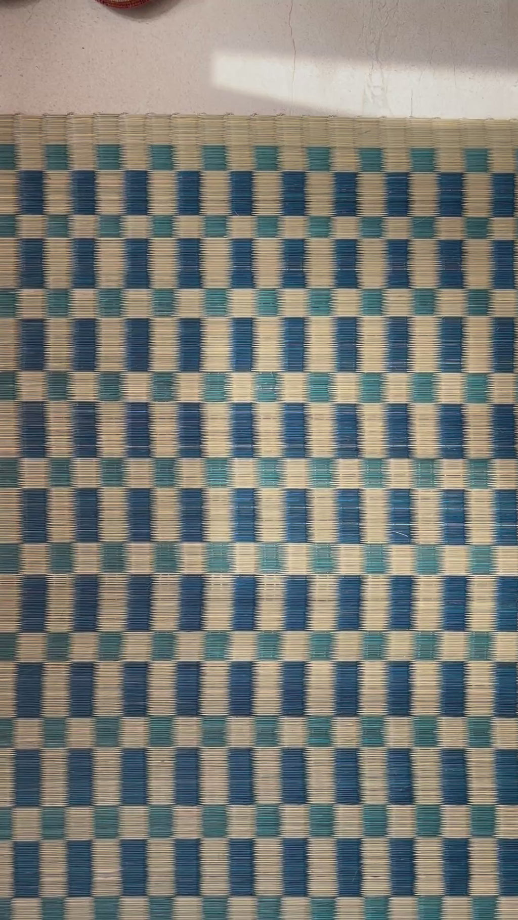 Checked Floor Mat: Aqua / Indigo